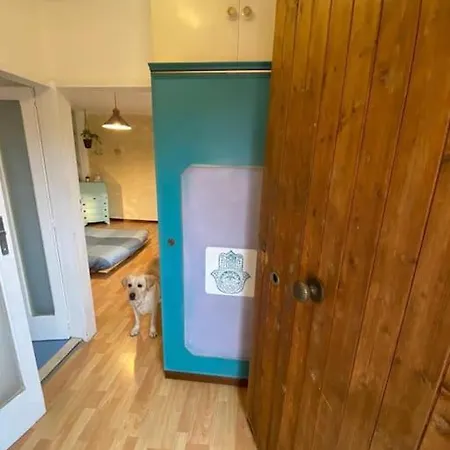 Spazioviola Intimo Boho Style Uno Spazio Magico Per L'energia Che Si Respira In Un Palazzo Della Vecchia Qui Nulla E Perfetto Ma Tutto Racconta Apartamento *